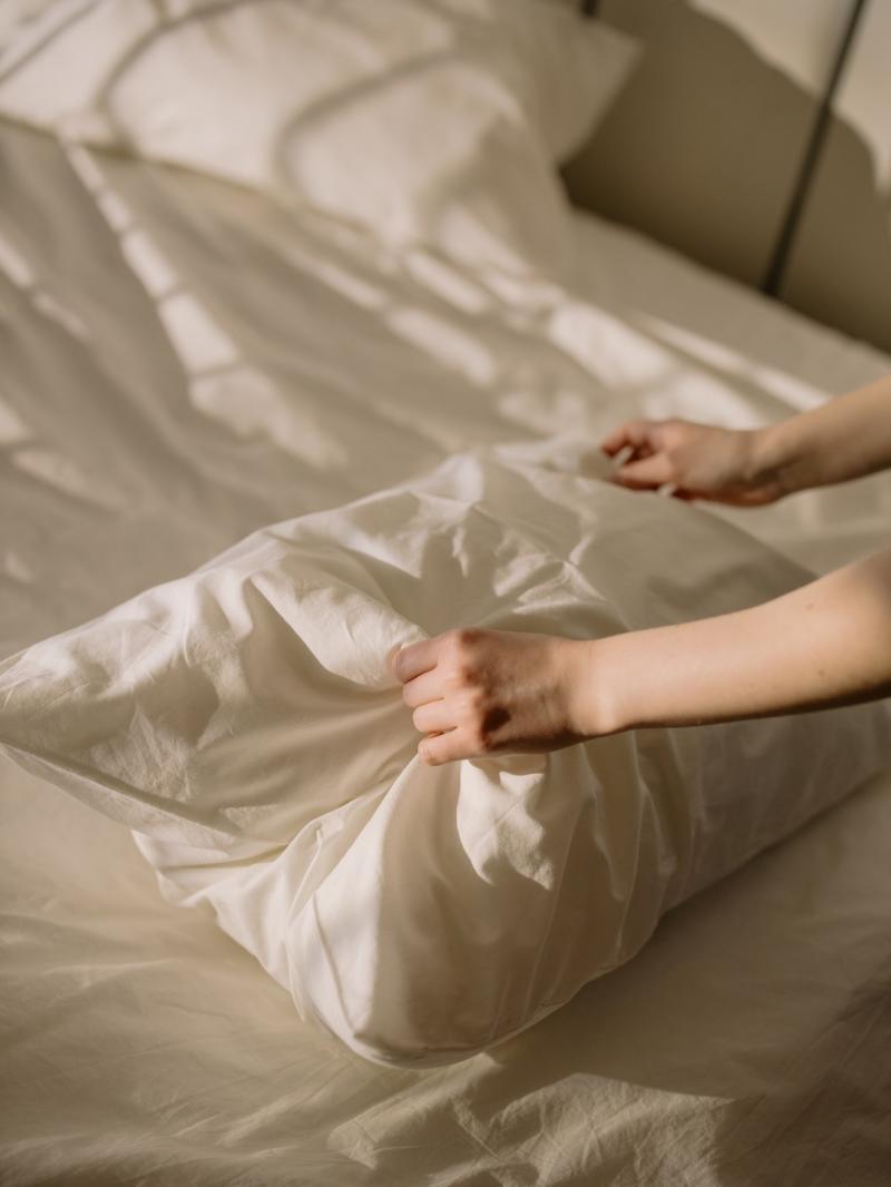 CleverPillow